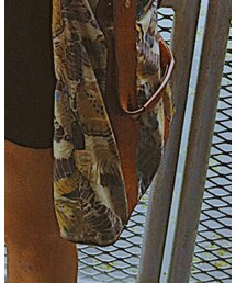 TORY BURCH | ショルダーバッグ