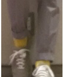 靴下屋 | ソックス/靴下