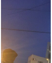 左 | トップス