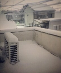 雪 | 10cmほど。(その他)