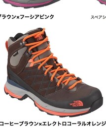 THE NORTH FACE | W レック ミッド ＧＴＸ (その他シューズ)