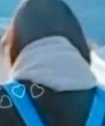 サンキューマート | ストール/ショール