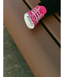 POLO RALPH LAUREN | レッグウェア