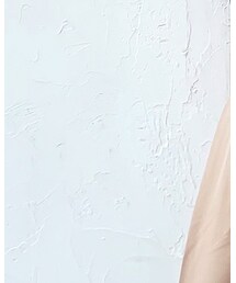 THE SHINZONE | ベルト