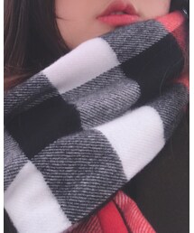 もらいもの | マフラー