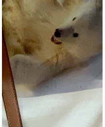 手作りロンT | Tシャツ/カットソー