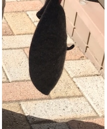 韓国子供服 | ハンチング/ベレー帽