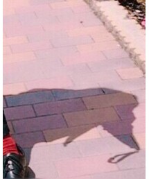 UNIQLO | ソックス/靴下