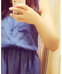 Techichi | ワンピース