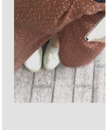 CONSCIOUS DAY | その他シューズ