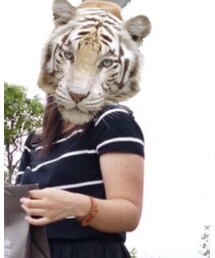 ZARA | Tシャツ/カットソー