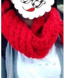 SHIPS | マフラー