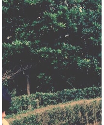 ARC'TERYX | バックパック/リュック