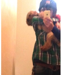 UNIQLO | シャツ/ブラウス