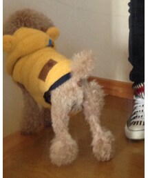 チーズ（笑） | 雑貨/ホビー