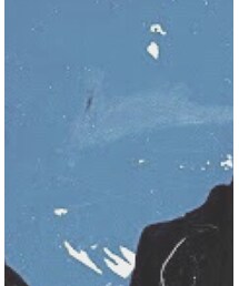 DSGeeKよろしくお願いします | その他