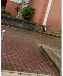 MARC JACOBS | バックパック/リュック