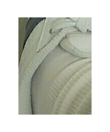 靴下屋 | ソックス/靴下