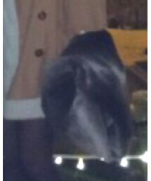 Heather | ニット/セーター