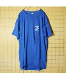 SCREEN STARS | 70s 80s USA製 SCREEN STARS プリント 半袖 Tシャツ ブルー メンズL相当 バッファロー JACKSON BUFFALOES 古着(Tシャツ/カットソー)