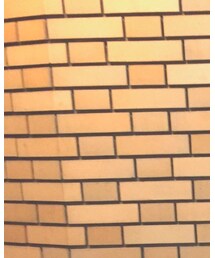 Lui's | トップス