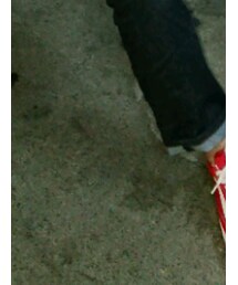 VANS | スニーカー