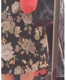 ehka sopo | スカート