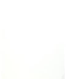 UNIQLO | ワンピース/ドレス