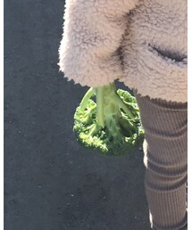 🥦 | その他