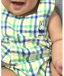 Dick Bruna | ママ＆ベビー