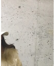 DURAS | その他アウター