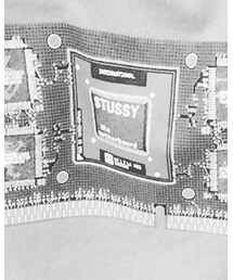 STUSSY | Tシャツ/カットソー