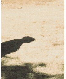 花見〜 | その他
