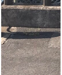 春 | その他