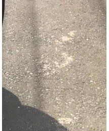 帰宅 | その他