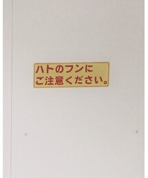 🐦 | その他