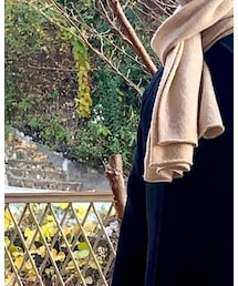 Johnstons of Elgin | マフラー