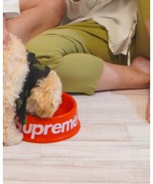 Supreme  | 食器/キッチン
