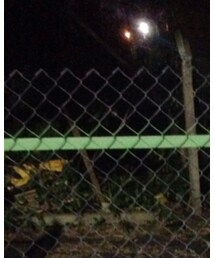 Supreme  | キャップ