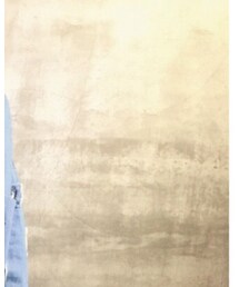 ZARA | デニムジャケット