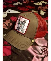 GOORIN BROS. | Pussy Cat Baseball Cap(キャップ)