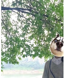 H&M | シャツ/ブラウス