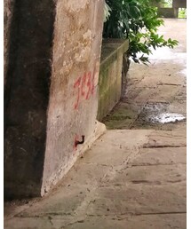 CONVERSE | その他シューズ