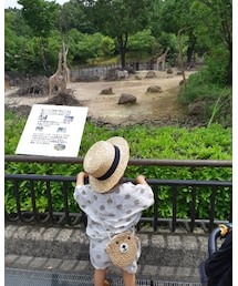 本日も動物園🦒 | その他