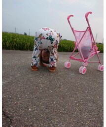 夕散歩🌇 | その他
