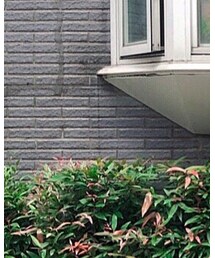 POU DOU DOU | 帽子