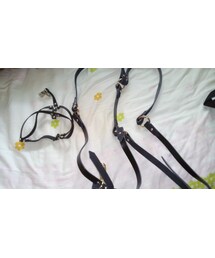 吊帶。吊襪帶。(その他)