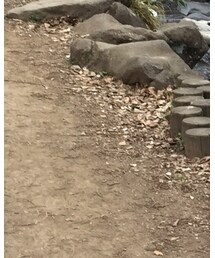 Omekashi | トレンチコート