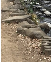 Omekashi | Tシャツ/カットソー