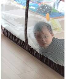 強盗犯 | その他
